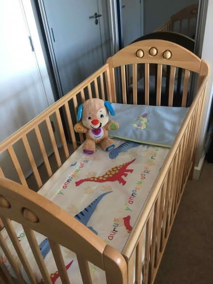 Photo of free Cot for baby (Tunbridge Wells, TN1) #1