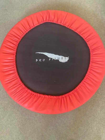 Photo of free Adult trampoline (N12 North Finchley) #1