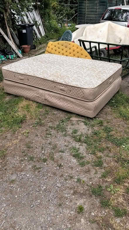 Photo of free double bed with mattress (S. Petherton TA13 5) #1