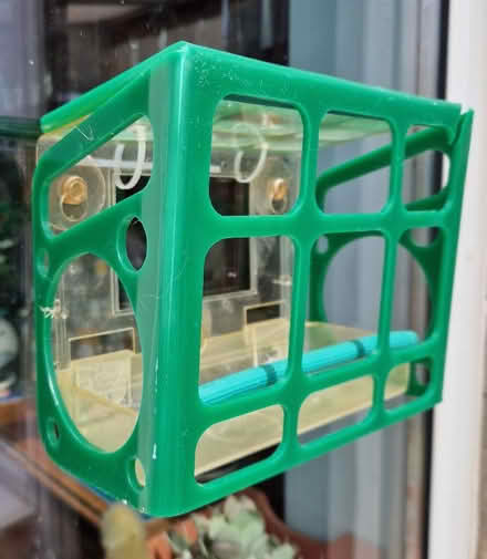 Photo of free Bird feeder + pigeon guard (Upper Weston BA1) #1