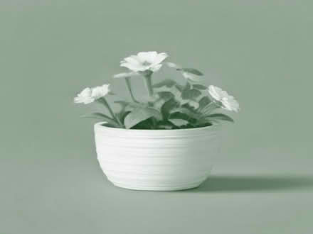 Photo of Baskets for floral displays (Noctorum CH43) #1