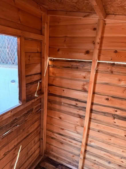 Photo of free Wooden pent shed (Holbrook DE56) #3