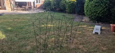 Photo of free Wire Garden Plant supports (Marshalwick AL4) #1