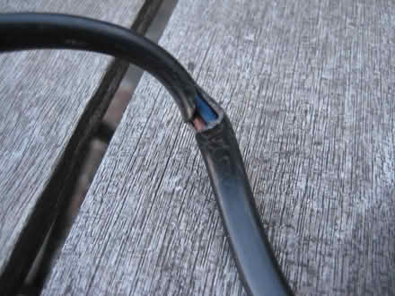 Photo of free Hairdryer (Ruddington NG11) #4