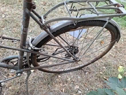 Photo of free Old ladies Raleigh bicycle (Lye Valley OX4) #4
