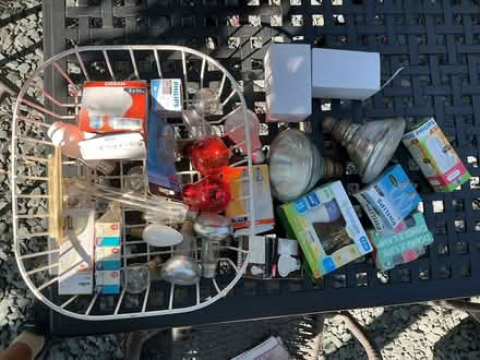 Photo of free Selection of lightbulbs (Nailsworth GL6) #1