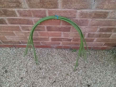 Photo of free 6 plastic pea/bean hoops (Little Neston CH64) #1