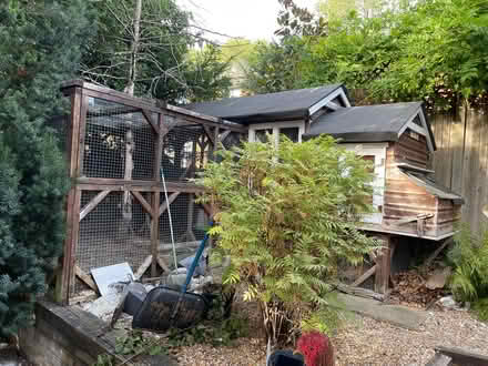 Photo of free Rabbit/Chicken House Panels (Orpington BR6) #1