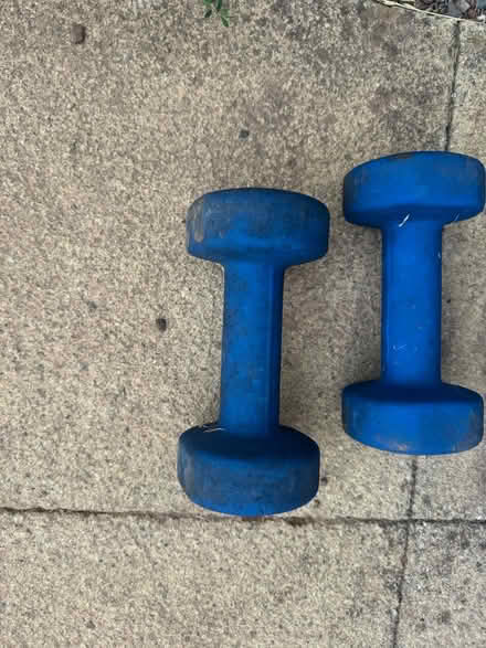 Photo of free 2x blue 5kg arm weights (Paignton Devon) #2
