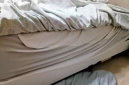 Photo of free king size bed (Montgomery Village) #2