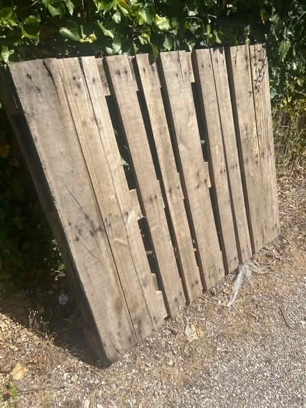 Photo of free Pallet (Spring Barn BN7) #1