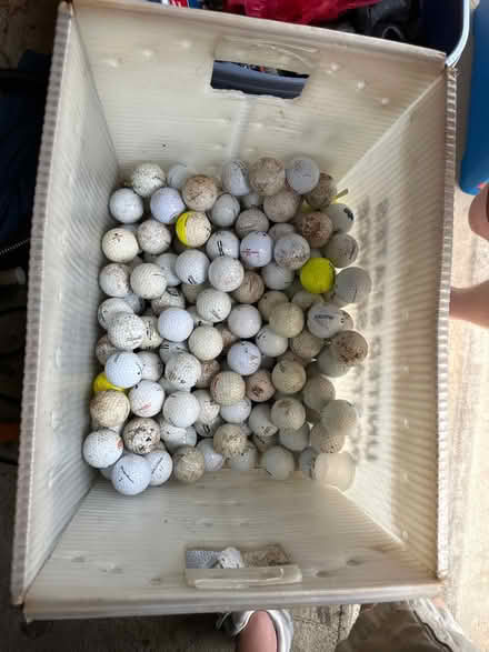 Photo of free Golf Balls (Maple Lawn) #1