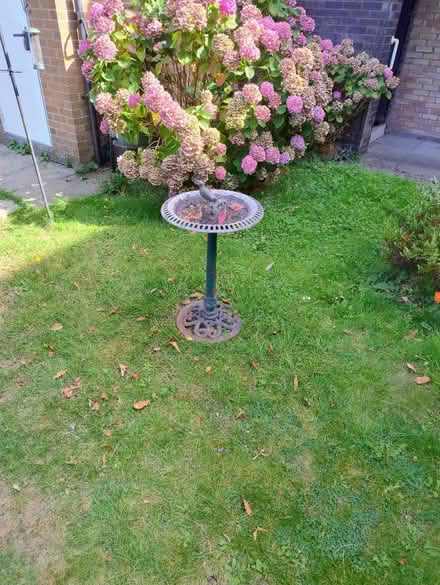 Photo of Bird bath (Stretford M32) #2