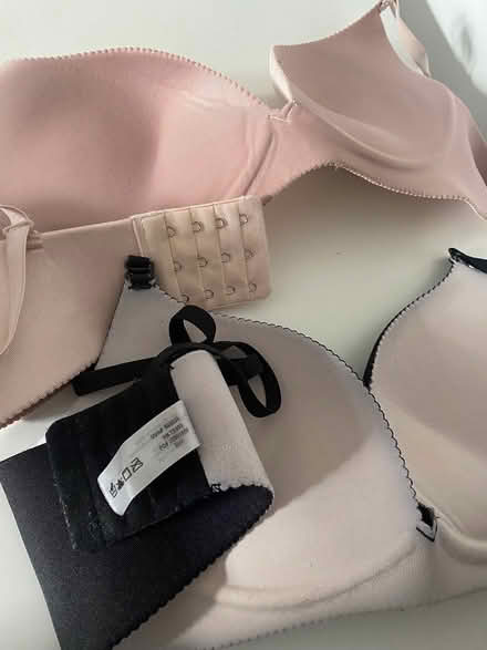 Photo of free Women’s bra 34B (W4) #3