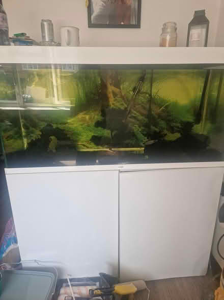 Photo of free Large fish tank (B632LP) #1