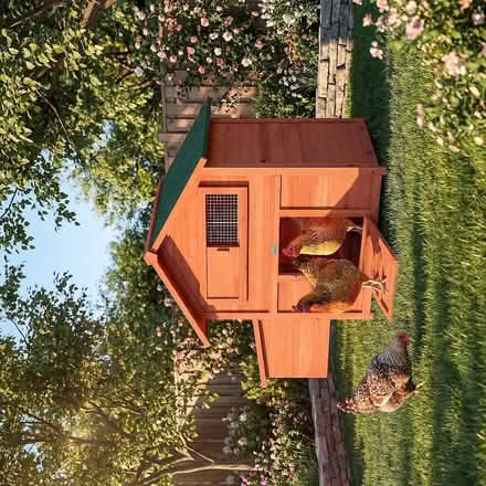 Photo of Chicken coop/rabbit cage (Harold Wood RM3) #3
