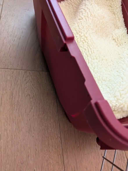 Photo of free Pet carrier (Lady Bay NG2) #3