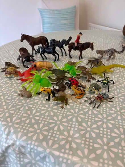 Photo of free Toy horses, reptiles and bugs! (Bexleyheath DA6) #1
