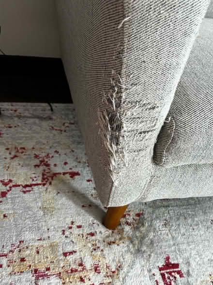 Photo of free West Elm loveseat (Park view\Petworth) #3