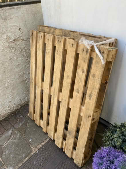 Photo of free 2 x timber pallets (Petts Wood BR5) #1