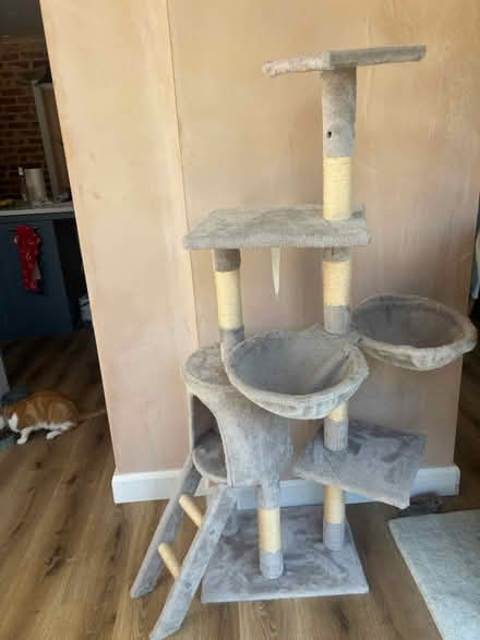 Photo of free Cat tree (Chessington KT9) #1