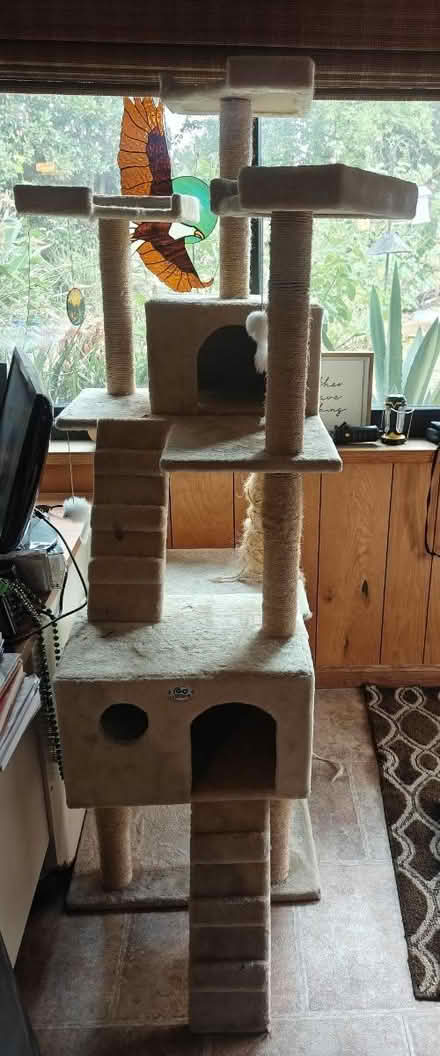 Photo of free Cat items (El Sobrante) #2