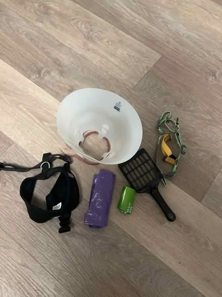Photo of free Cat and dog items (Atwater) #1