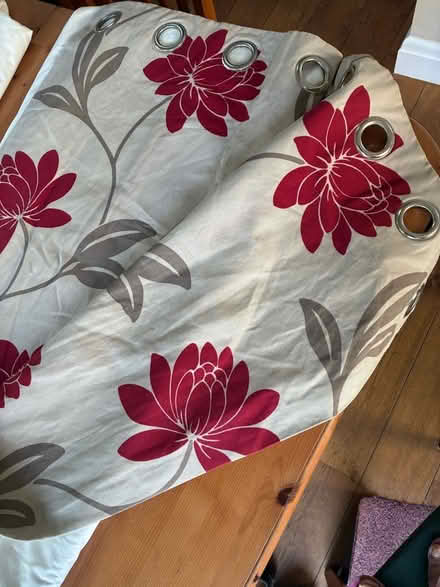 Photo of free Eyelet curtains (Harrogate HG2) #1