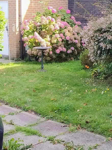 Photo of Bird bath (Stretford M32) #1