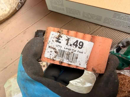 Photo of free Gardening goodies (Highbury N5) #2