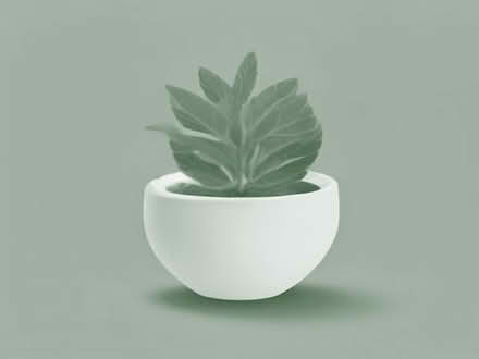 Photo of free fresh Rosmarin herb (Chapeltown LS7) #1