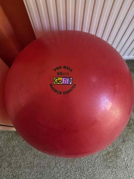 Photo of free Exercise ball (Owlsmoor GU47) #1