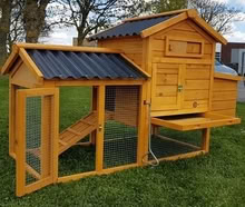 Photo of Chicken coop/rabbit cage (Harold Wood RM3) #4