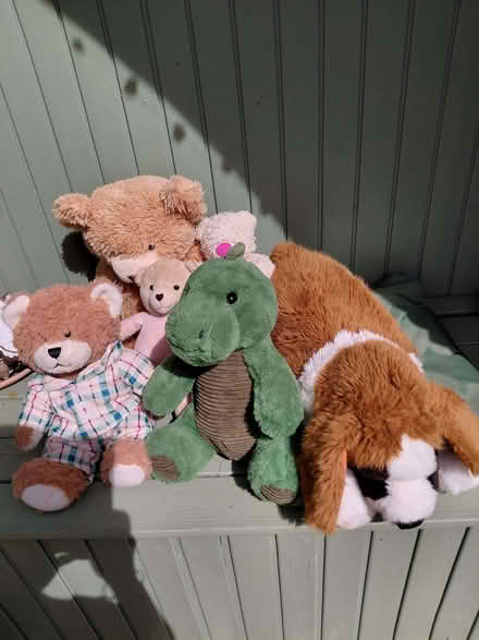 Photo of free Soft toys (Stroud GL5) #1