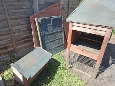 Photo of free Chicken coop (South Norwood, SE25) #4