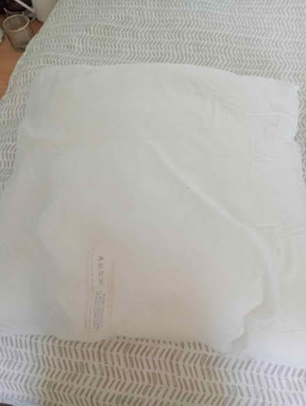 Photo of free Cushion pads (Temple Cowley OX4) #3