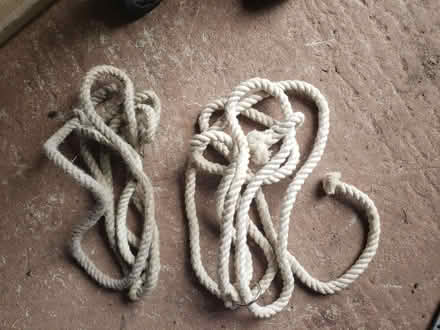 Photo of free Rope haters for livestock (Great Asby CA16) #1