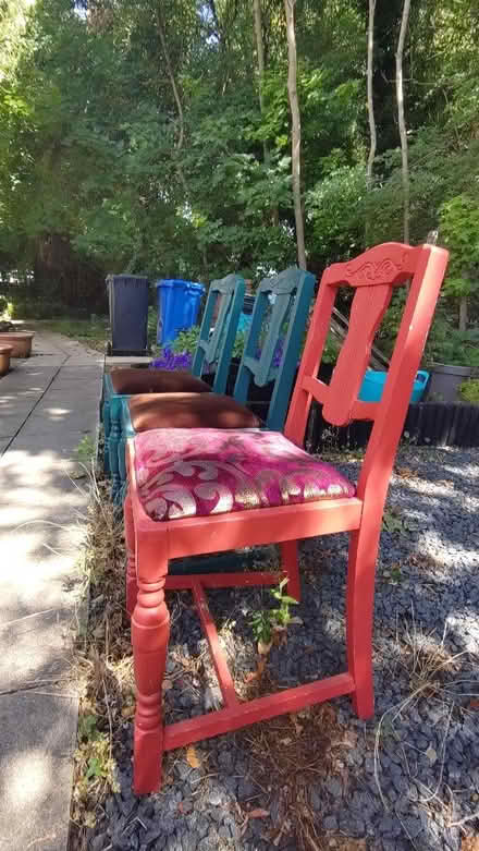 Photo of free Three dining chairs (New Catton NR3) #2