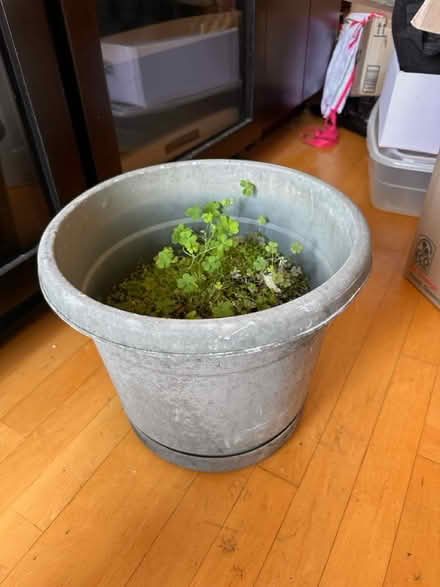 Photo of free Various large plastic garden pots (South Loop) #2