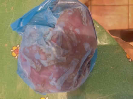 Photo of free Turkey giblets (Mereoak Park RG2) #1