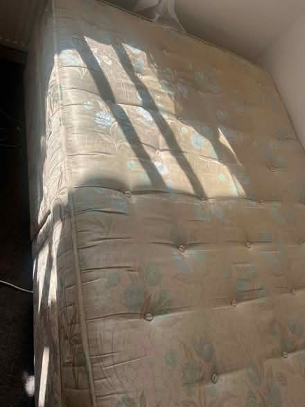 Photo of free Devan bed with mattress (Nash Mills HP3) #3