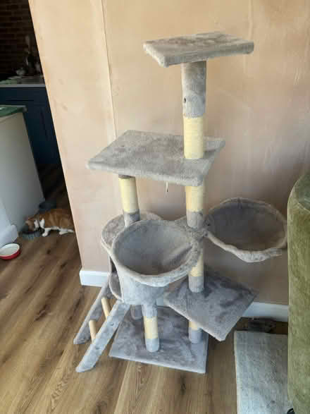 Photo of free Cat tree (Chessington KT9) #2