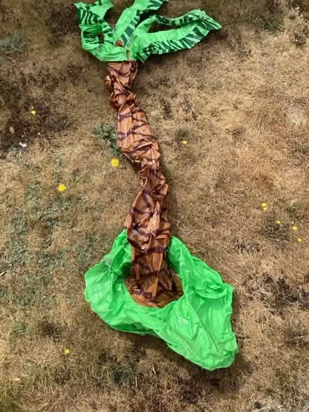 Photo of free Inflatable palm tree (New Hinksey OX1) #1