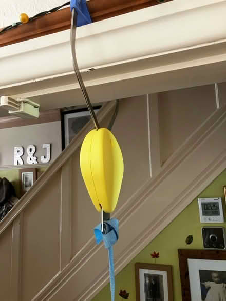Photo of free Door baby bouncer (Bolton BD2) #2