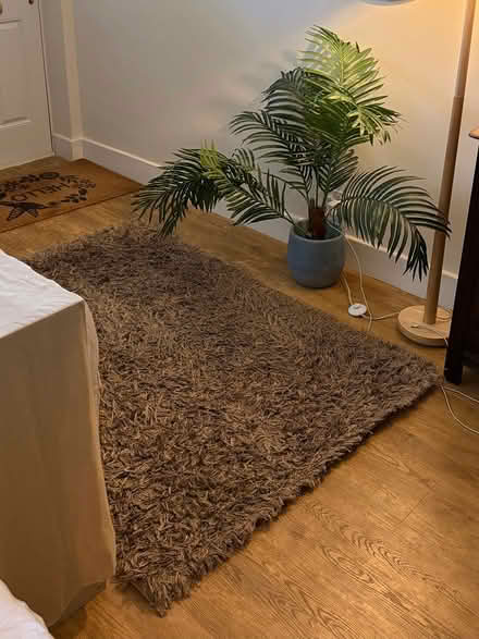 Photo of free Rug (Wimbledon SW19) #1