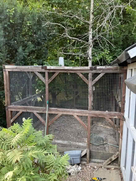 Photo of free Rabbit/Chicken House Panels (Orpington BR6) #3