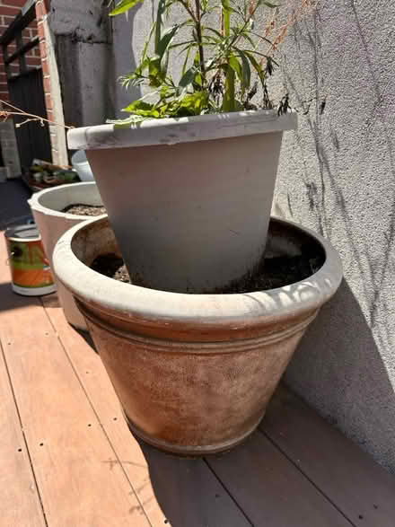 Photo of free Various large plastic garden pots (South Loop) #3