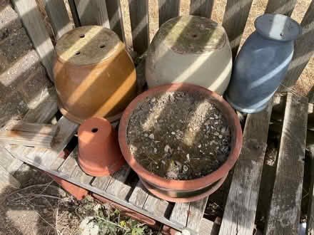 Photo of free Plant pots (Peacehaven) #1