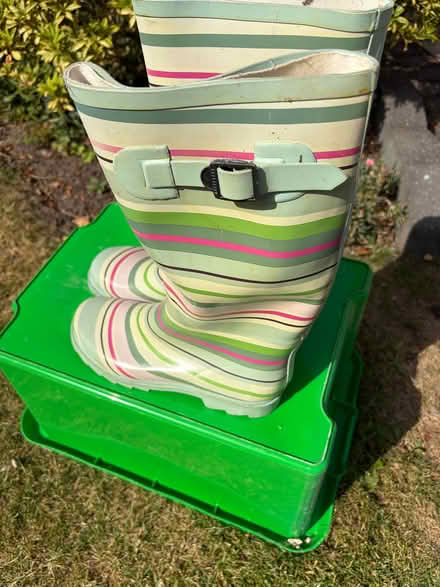 Photo of free Size6/39 Wellington boots (Longbarn WA2) #1