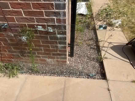 Photo of free Tabletop glass (New Coseley Village DY4) #1